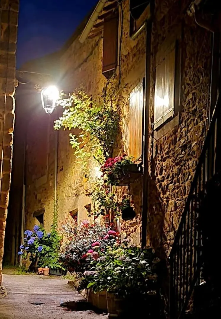 The Tavern Castelnau-Pegayrols France